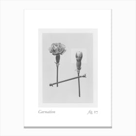 Carnation Botanical Collage 1 Canvas Print