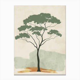 Acacia Tree Minimal Japandi Illustration 4 Canvas Print