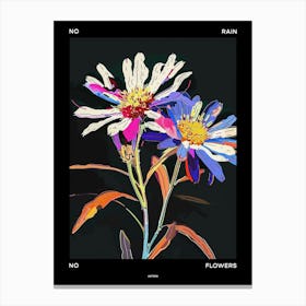 No Rain No Flowers Poster Asters 6 Canvas Print