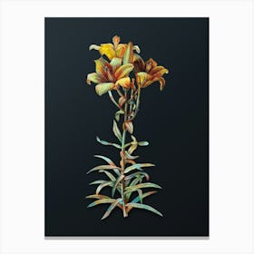 Vintage Fire Lily Botanical Watercolor Illustration on Dark Teal Blue n.0951 Canvas Print