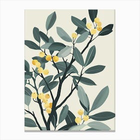 Pear Tree Flat Illustration 4 Canvas Print