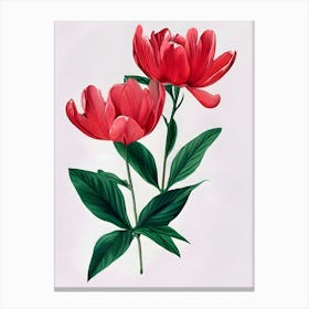 Red Peonies Canvas Print