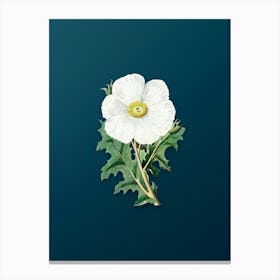 Vintage Mexican Poppy Flower Branch Botanical Art on Teal Blue n.0402 Canvas Print