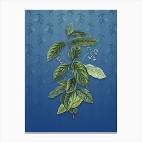 Vintage Broadleaf Spindle Botanical on Bahama Blue Pattern n.2432 Canvas Print
