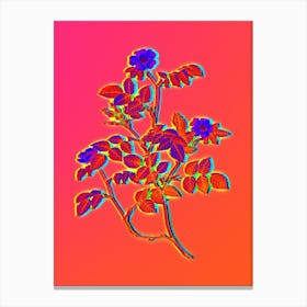 Neon Sweetbriar Rose Botanical in Hot Pink and Electric Blue n.0348 Canvas Print