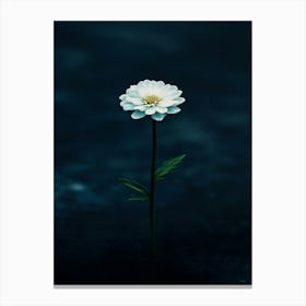 Single Flower In Water Canvas Print