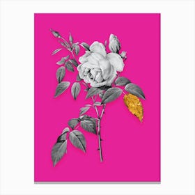 Vintage Fragrant Rosebush Black and White Gold Leaf Floral Art on Hot Pink n.0386 Canvas Print