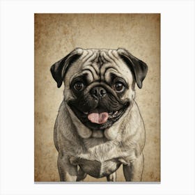 Pug Dog 1 Canvas Print