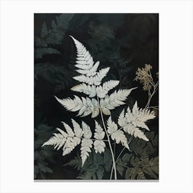 Silver Lace Fern Painting 2 Canvas Print