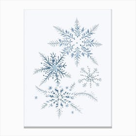 Snowflakes In The Snow,  Snowflakes Pencil Illustration 1 Canvas Print