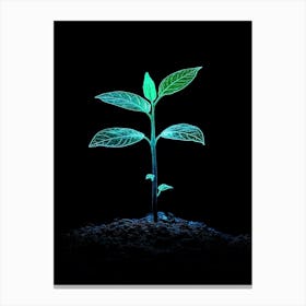 Glow In The Dark Plant 5 Canvas Print