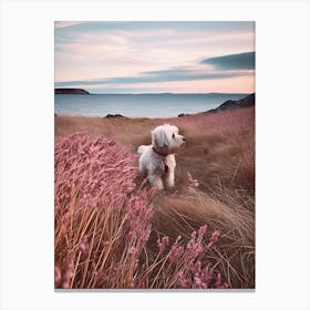 Dog In Pink Grass Canvas Print