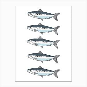 Sardine . New Zealand Canvas Print