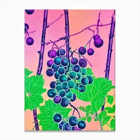Blackberry 2 Fruit Canvas Print