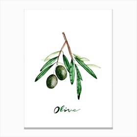 Olive Canvas Print