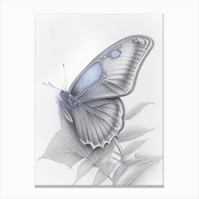 Holly Blue Butterfly Greyscale Sketch 1 Canvas Print
