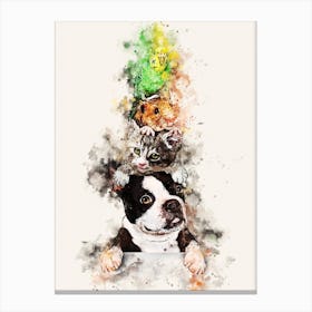 Boston Terrier Canvas Print