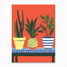 Potted Plants 35 Canvas Print