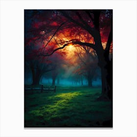 Sunset In The Forest 28 Canvas Print