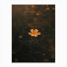 Flower In Water Canvas Print