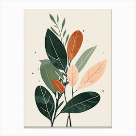 Chinese Evergreen Plant Minimalist Illustration 3 Canvas Print