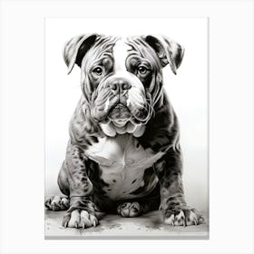 Canine Capers Canvas Print