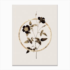 Gold Ring Indica Stelligera Rose Glitter Botanical Illustration n.0164 Canvas Print