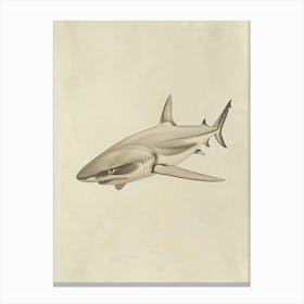 White Tip Reef Shark Vintage Illustration 4 Canvas Print