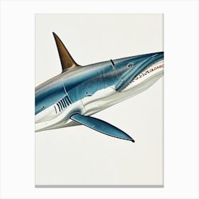 Mako Shark Vintage Canvas Print