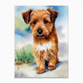 Norfolk Terrier 4 Watercolour dog Canvas Print