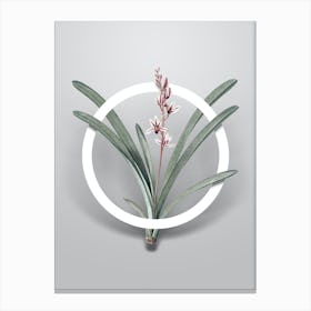 Vintage Boat Orchid Minimalist Flower Geometric Circle on Soft Gray n.0102 Canvas Print
