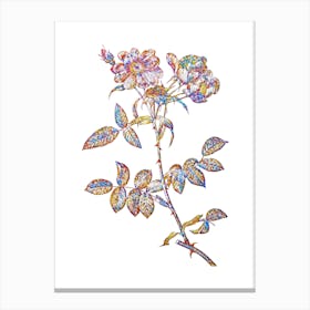 Stained Glass Lady Monson Rose Bloom Mosaic Botanical Illustration on White n.0063 Canvas Print