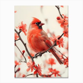 Cardinal In Cherry Blossoms Canvas Print