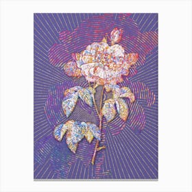 Geometric Vintage Duchess of Orleans Rose Mosaic Botanical Art on Veri Peri n.0260 Canvas Print