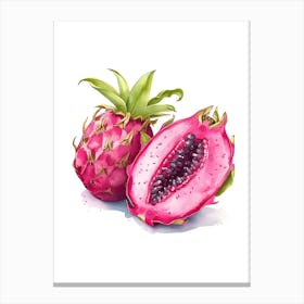 Dragon Fruit Canvas Print