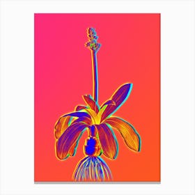 Neon Scilla Lilio Hyacinthus Botanical in Hot Pink and Electric Blue Canvas Print