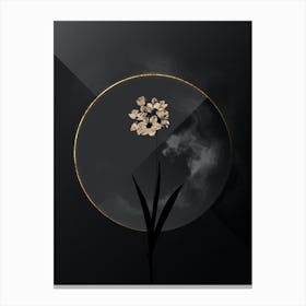 Shadowy Vintage Ixia Maculata Botanical in Black and Gold n.0191 Canvas Print