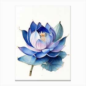 Blue Lotus Watercolour Ink Pencil 3 Canvas Print