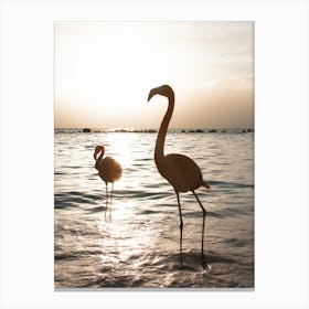 Flamingos At Sunset Canvas Print