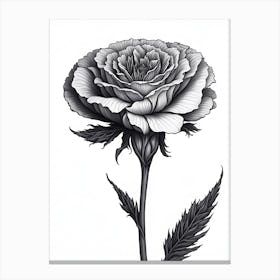 A Carnation In Black White Line Art Vertical Composition 11 Canvas Print