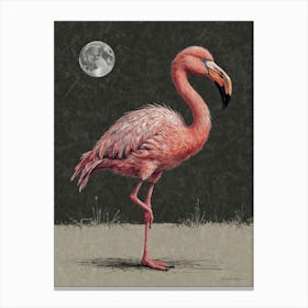 Pink Flamingo 7 Canvas Print