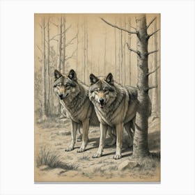 Two Wolves In The Woods Canvas Print