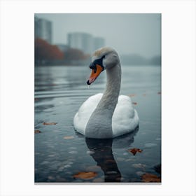 Swan In The Park Canvas Print