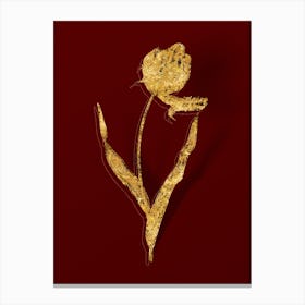 Vintage Didier's Tulip Botanical in Gold on Red n.0067 Canvas Print