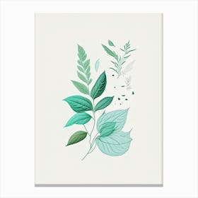 Mint Spices And Herbs Minimal Line Drawing 2 Canvas Print