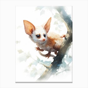 Light Watercolor Painting Of A Mahogany Glider 3 Canvas Print