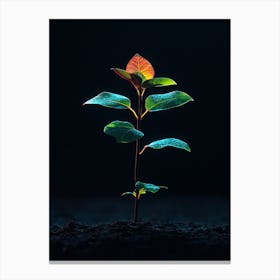 Tree Grows In The Dark 3 Canvas Print