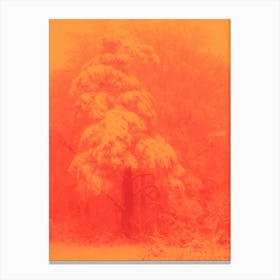 Orange Tree In The Snow Canvas Print