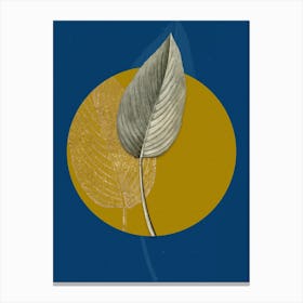 Vintage Botanical Powdery Alligator Flag on Circle Yellow on Blue Canvas Print