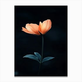 Single Orange Flower 6 Canvas Print